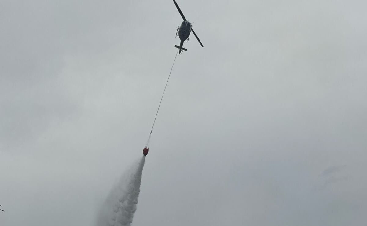 Accidente automovilístico en Nuevo León deja 10 muertos (23/03/2025). Foto: Especial