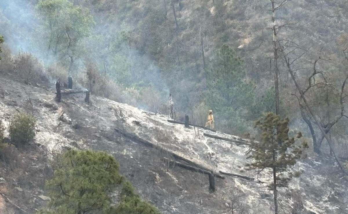 Accidente automovilístico en Nuevo León deja 10 muertos (23/03/2025). Foto: Especial