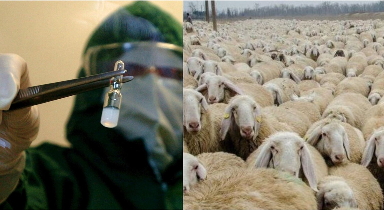 Ripetitore / Amplificatore Di Segnale Radio Per Impianto Antifurto RT-101 - CHUANGO - Foto 11