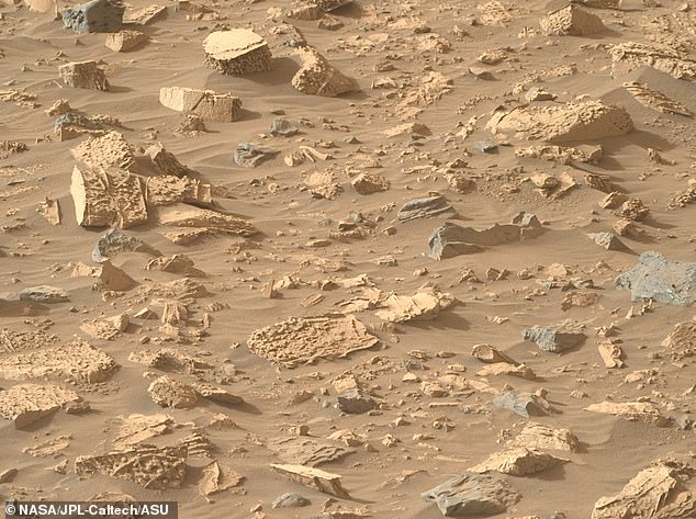 In June last year, Perseverance spied popcorn-like textures in sedimentary rocks exposed in the Jezero crater inlet channel, Neretva Vallis