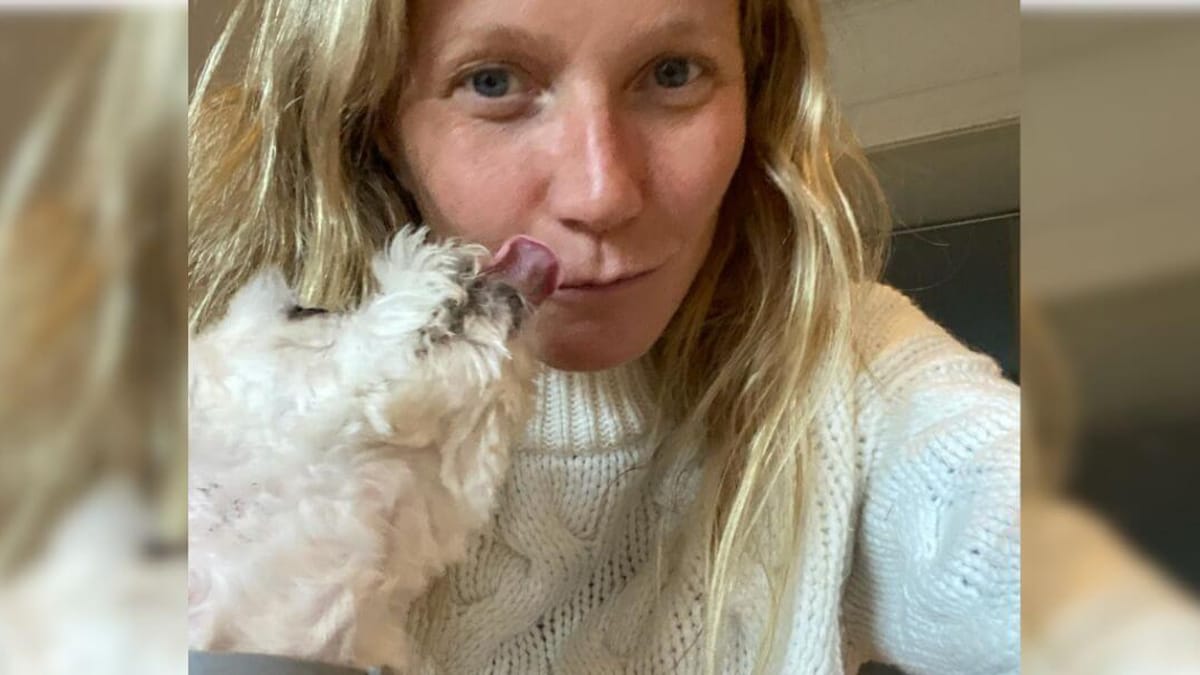 Paltrow opens up about 'tough year' after losing two beloved dogs