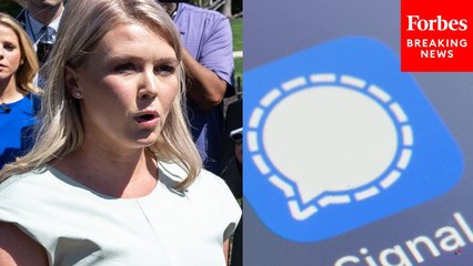 'This Case Has Been Closed': Karoline Leavitt Defends Waltz, Trump Team