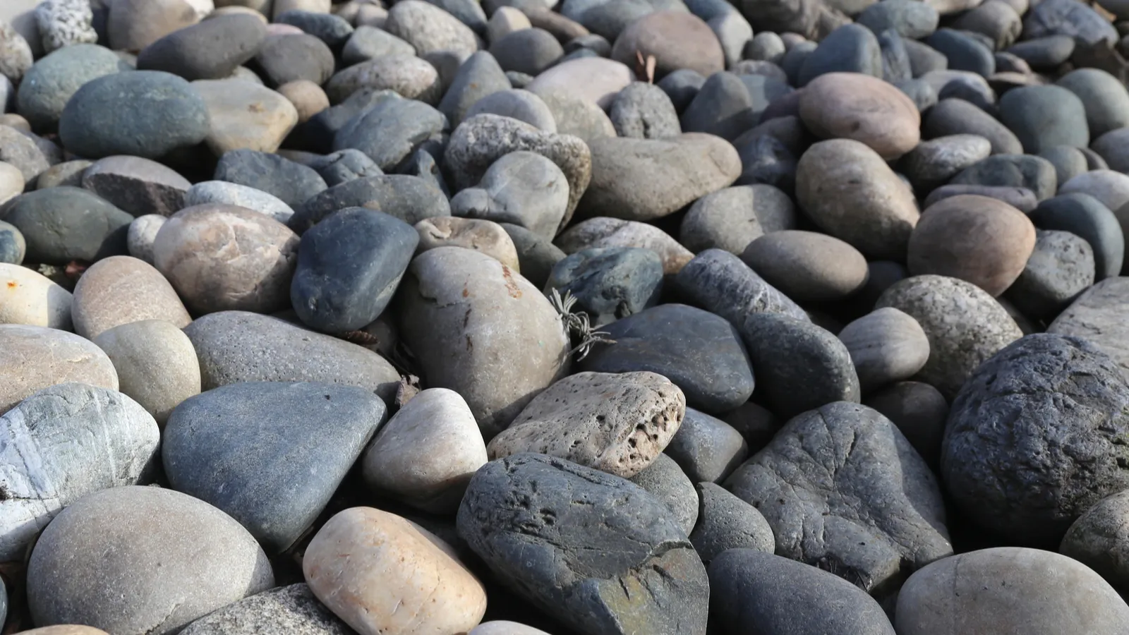 12 Types of Landscaping Rocks and How to Choose One