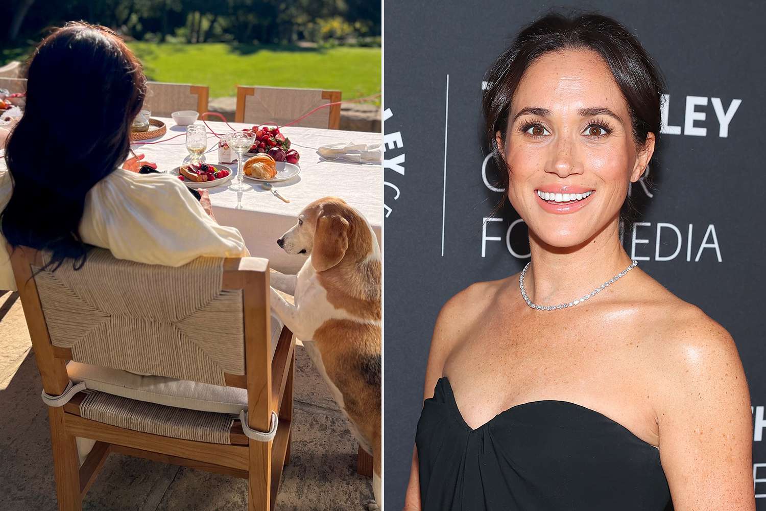 Meghan Markle's Dog Mia Crashes Her Lifestyle Brand's Photo Shoot (in
