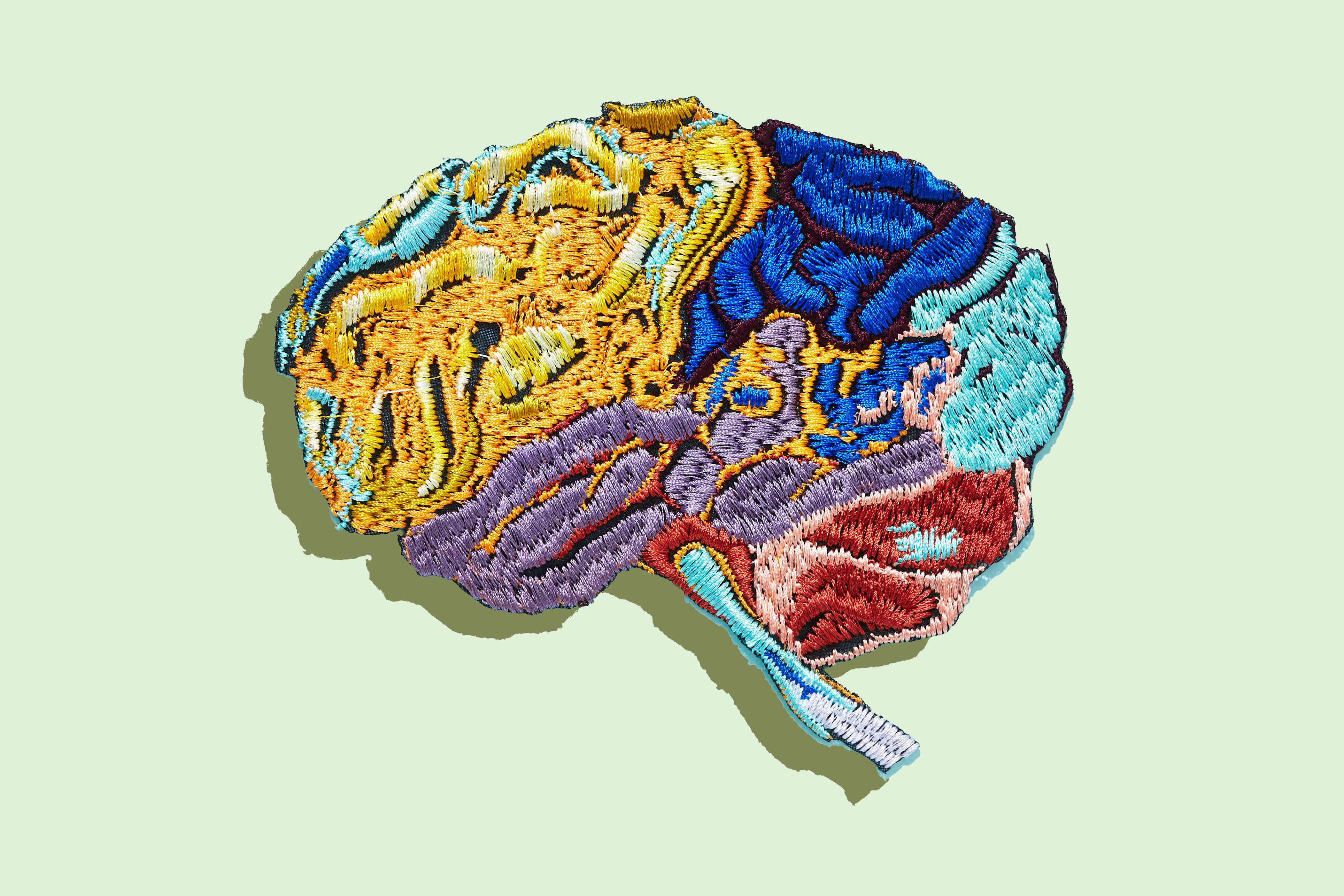 Scientists pinpoint the age when your brain declines the fastest