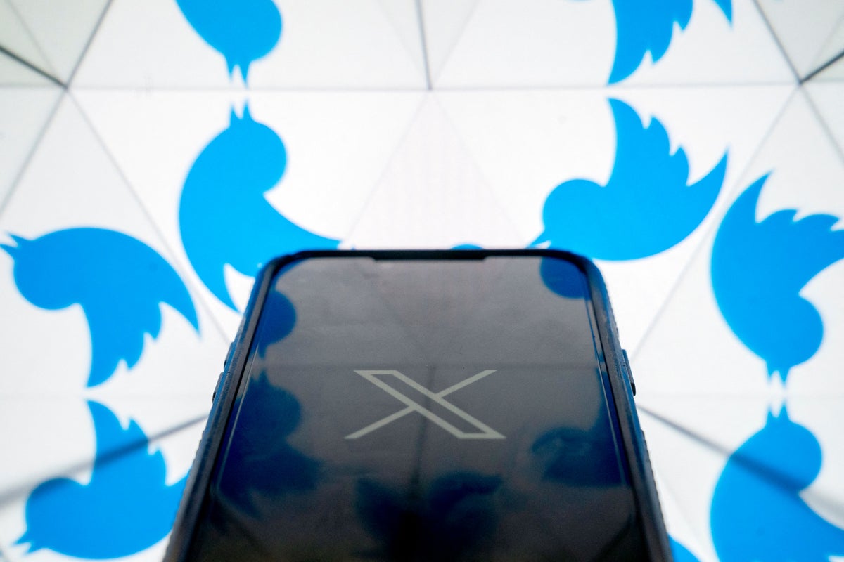 Twitter Breaking the Bird shows how the hottest website