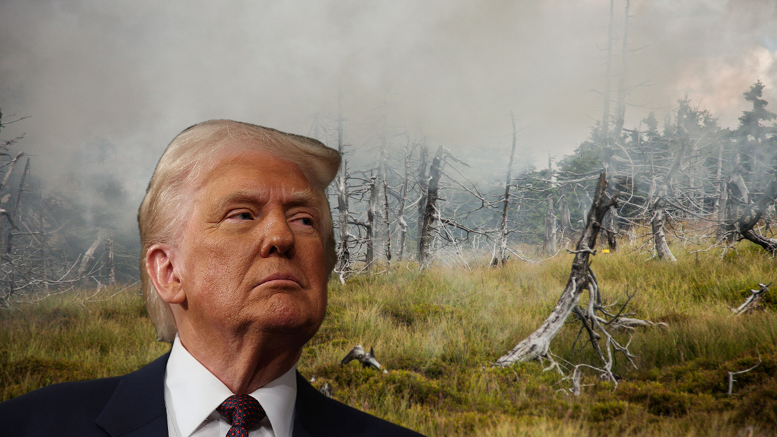 Danke, Donald – Saurer Regen steht vor dem Comeback