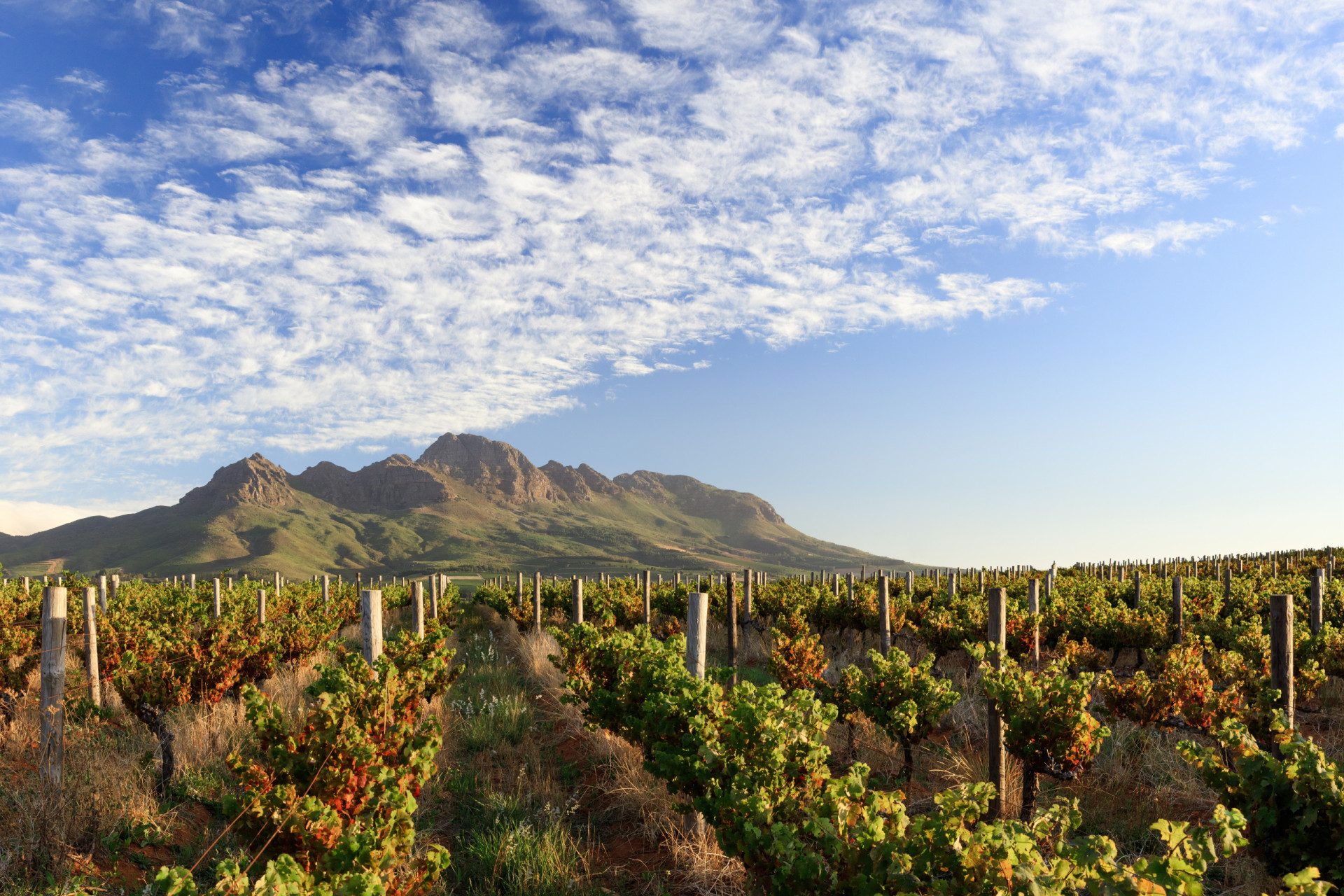 Striking facts about South Africa