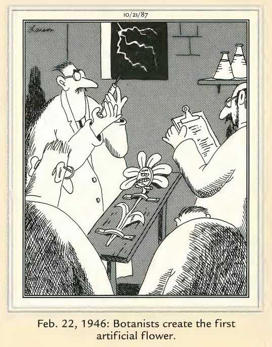 Far Side Frankenstein Flower