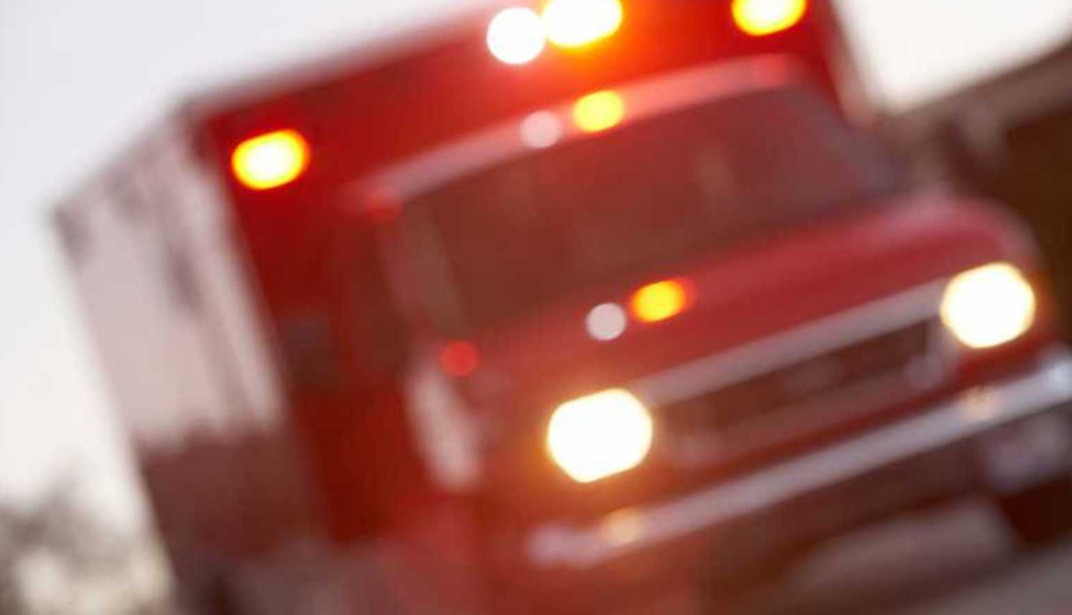 Olathe man critically injured, 4 cattle killed in Miami County crash