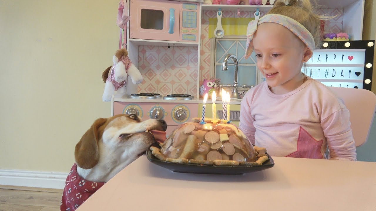 Family surprises dog with birthday cake explosion