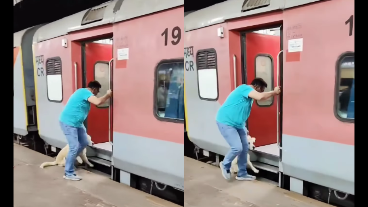 Man Forcefully Drags Dog To Board Speeding Train; Pet Ends Up Falling