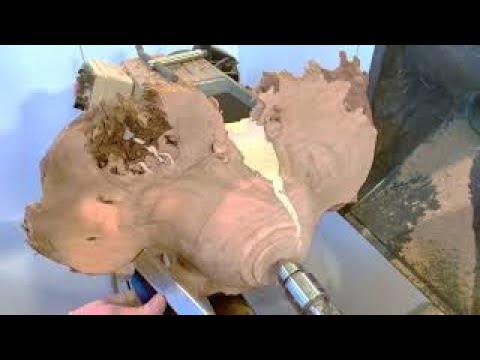 Woodturning - The Phoenix Wing