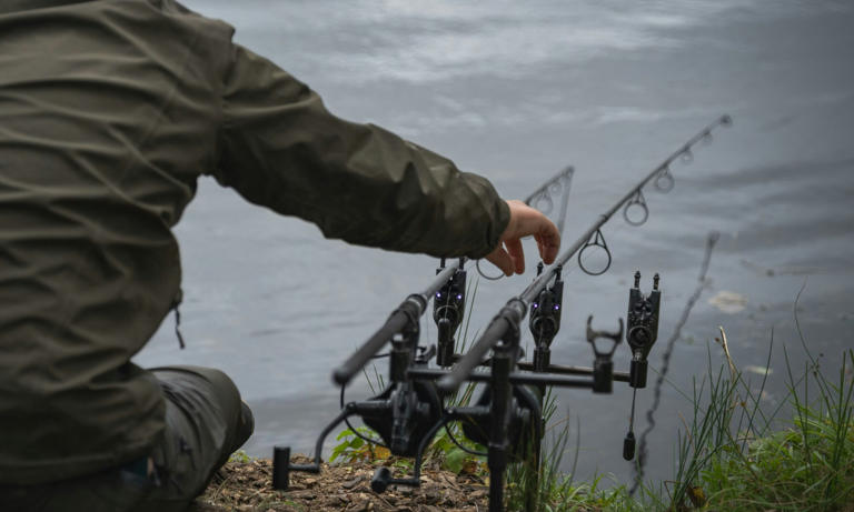 The best bite alarms