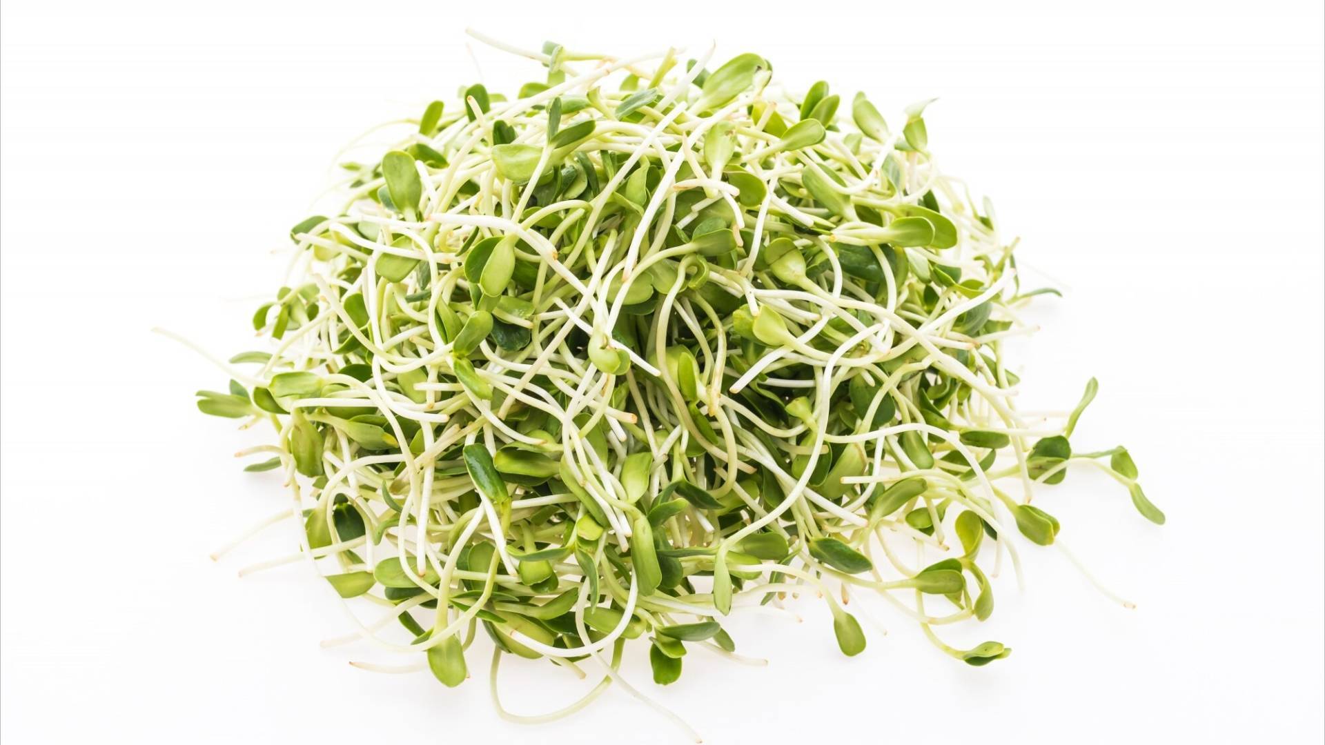 Calea Zacatechichi Biologica - Erba Dei Sogni 28g, Per Infusi E Rituali Spirituali