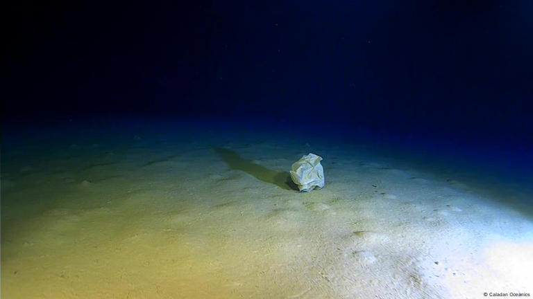 Descubrimiento preocupante: hallan residuos humanos en el abismo más  profundo del Mediterráneo