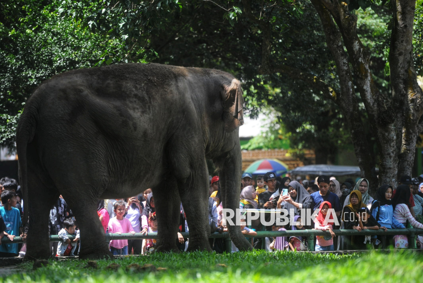Ragunan perpanjang jam operasional libur Nataru, buka lebih pagi