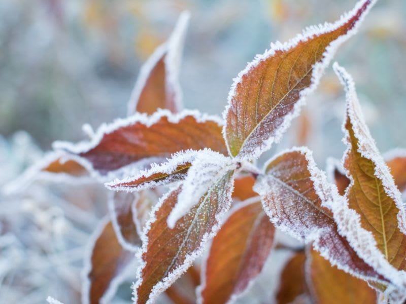 Garmisch Partenkirchen Wetter Heute So Frostig Wird Es Am Donnerstag