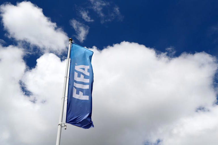 NI international football coach leaves role to take up FIFA position