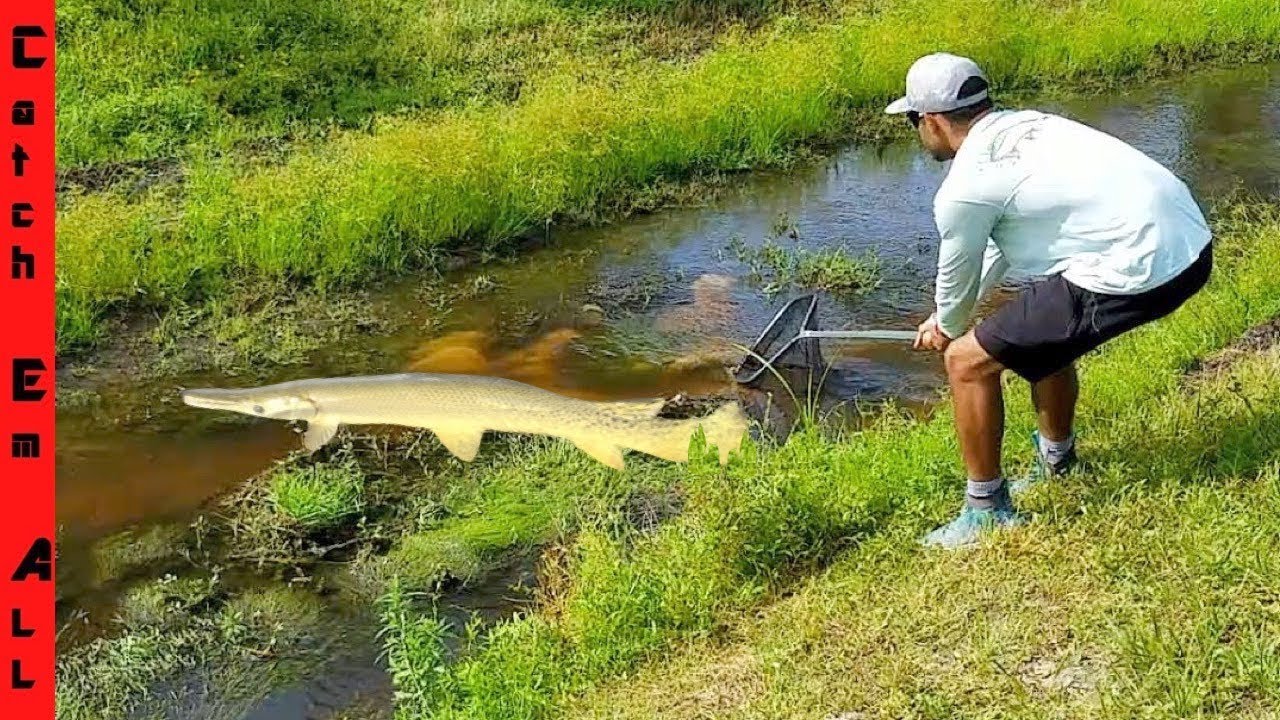 Catching Giant Fish in a Hidden Shallow Creek