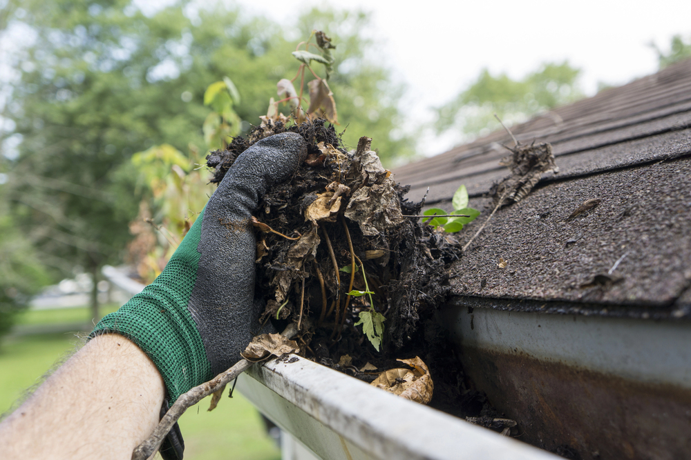 Simple tips to do gutter maintenance