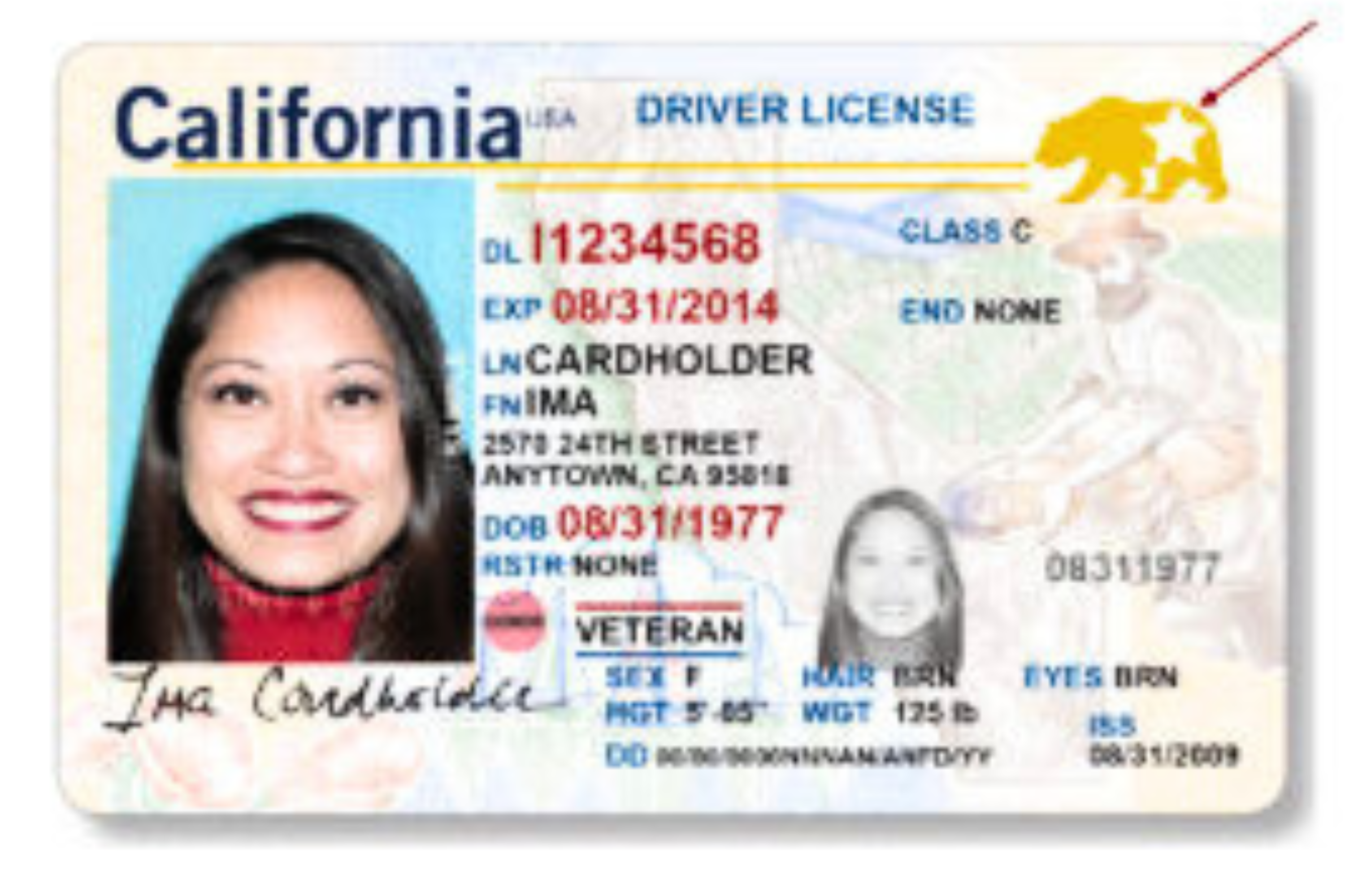 How to Know If Your License Is a Real ID Ahead of Deadline