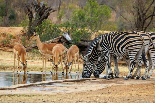 need-an-escape-these-breathtaking-sa-locations-are-perfect-for-freedom-day