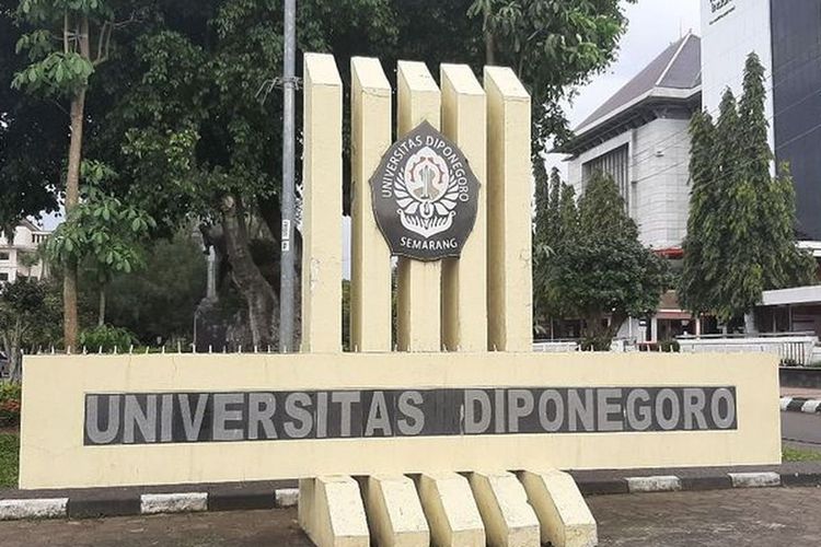 Jurusan Populer dan Langka di Undip 2026, Daftar SNBP Terbaru