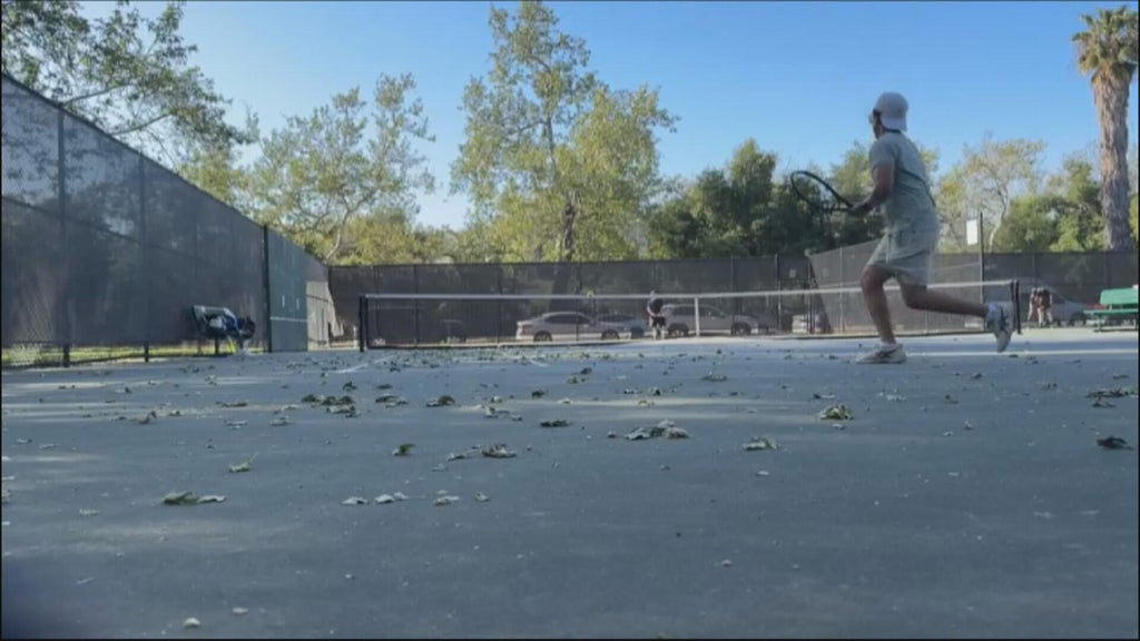 Pickleballers and tennis players argue over court conversion in Pickleballers and tennis players argue over court conversion in