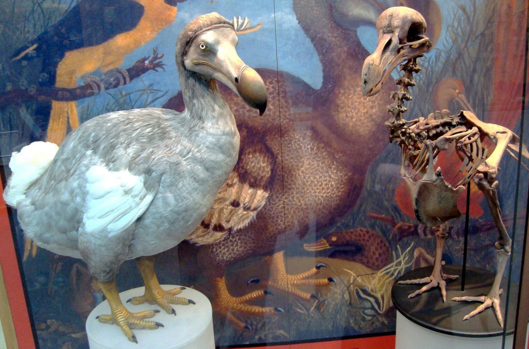 These animals are now extinct