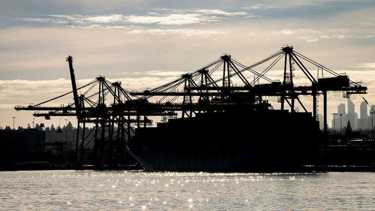 Terms of reference finalised for India-US trade deal: Commerce ministry