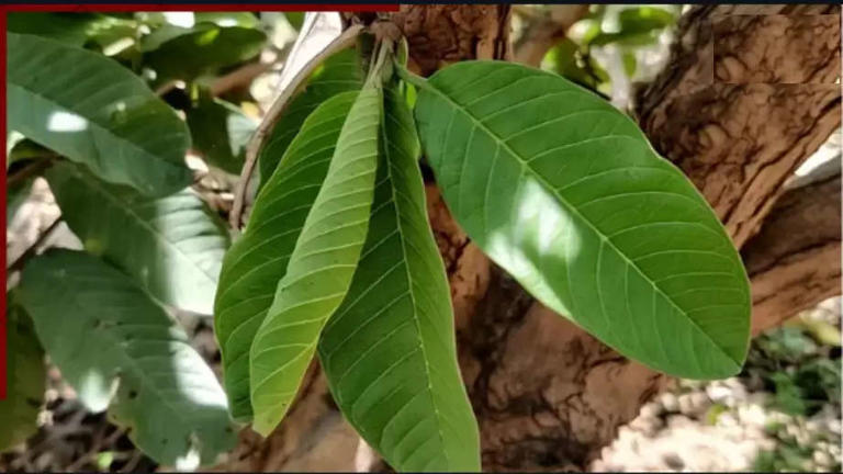 Sworn To Protect: A Sugarland Blue Novel (Sugarland Blue, 1