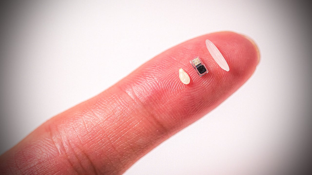 This new pacemaker is smaller than a grain of rice