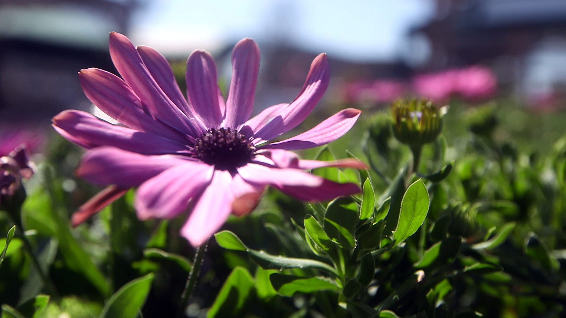 When is the first day of spring and what is the spring equinox?