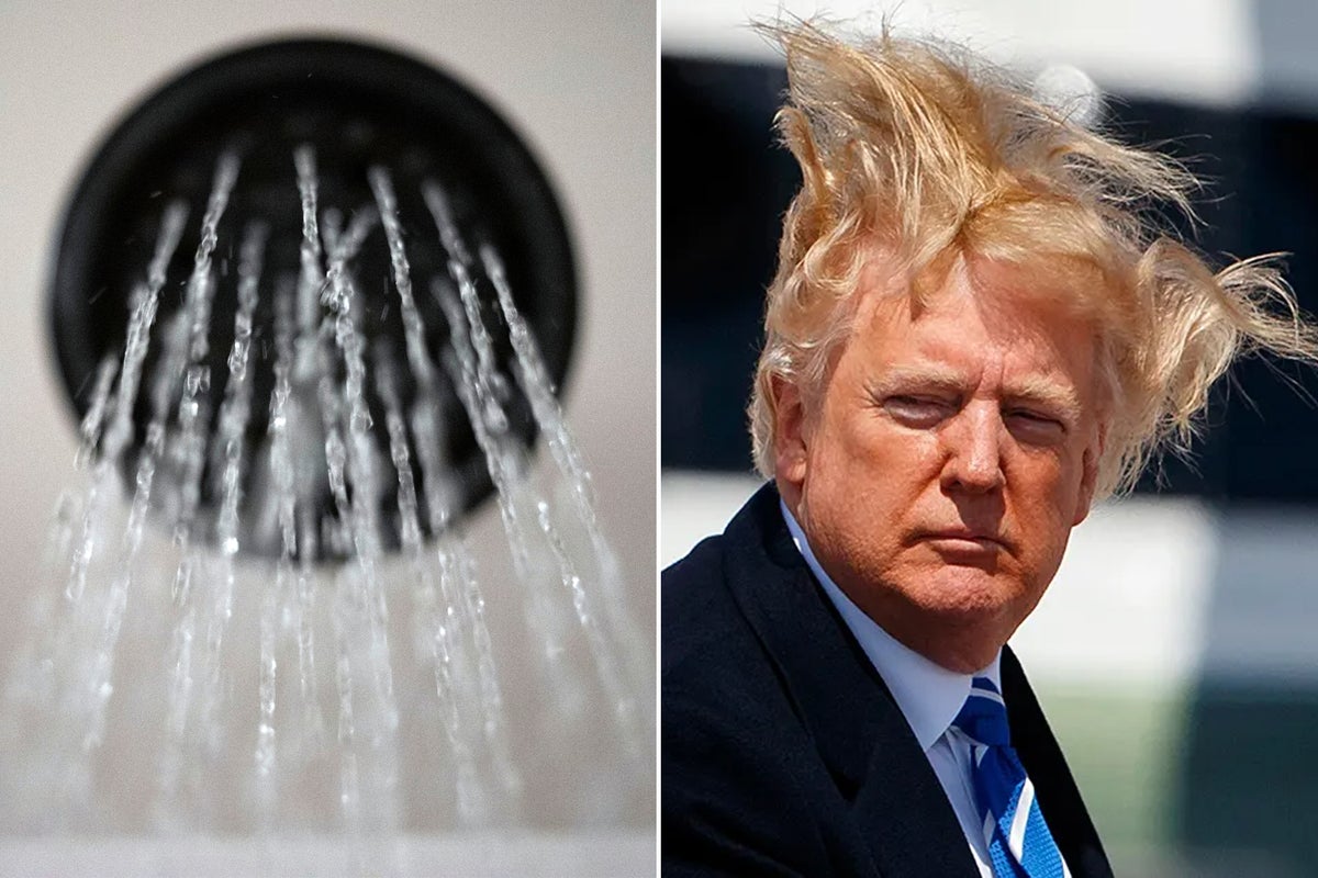 Trump plans to fix showerheads and dishwashers so everything gets more(00)