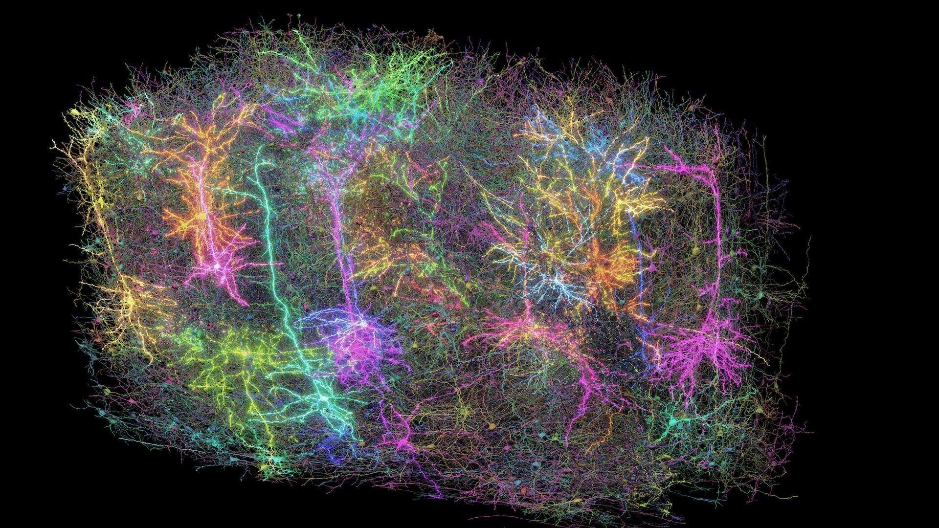 Scientists map miles of wiring - AA1CH9YC.img