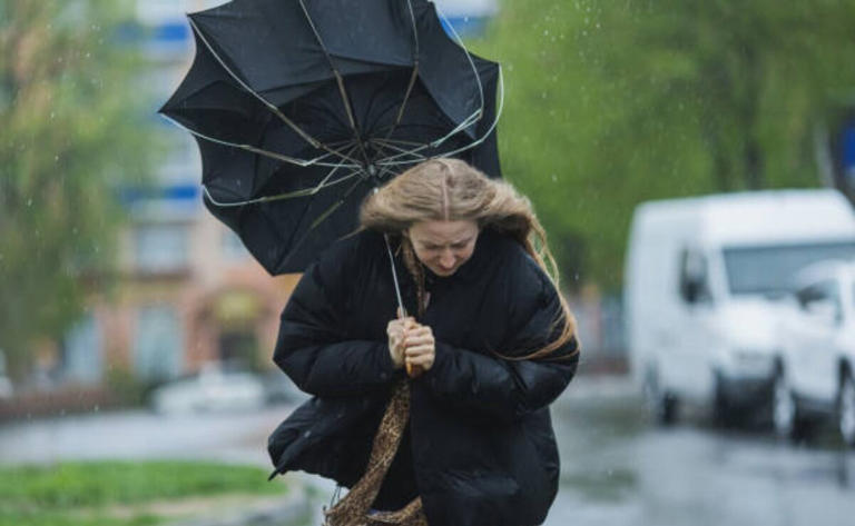 Activan alerta amarilla por fuertes vientos en CDMX; rachas de hasta 59 ...
