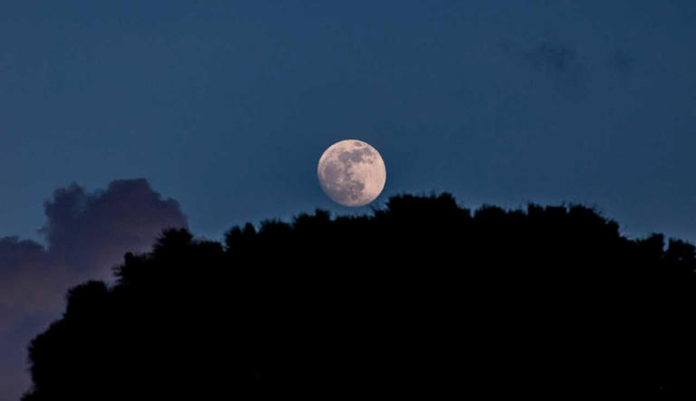 Pink moon will light up night sky: Here’s when