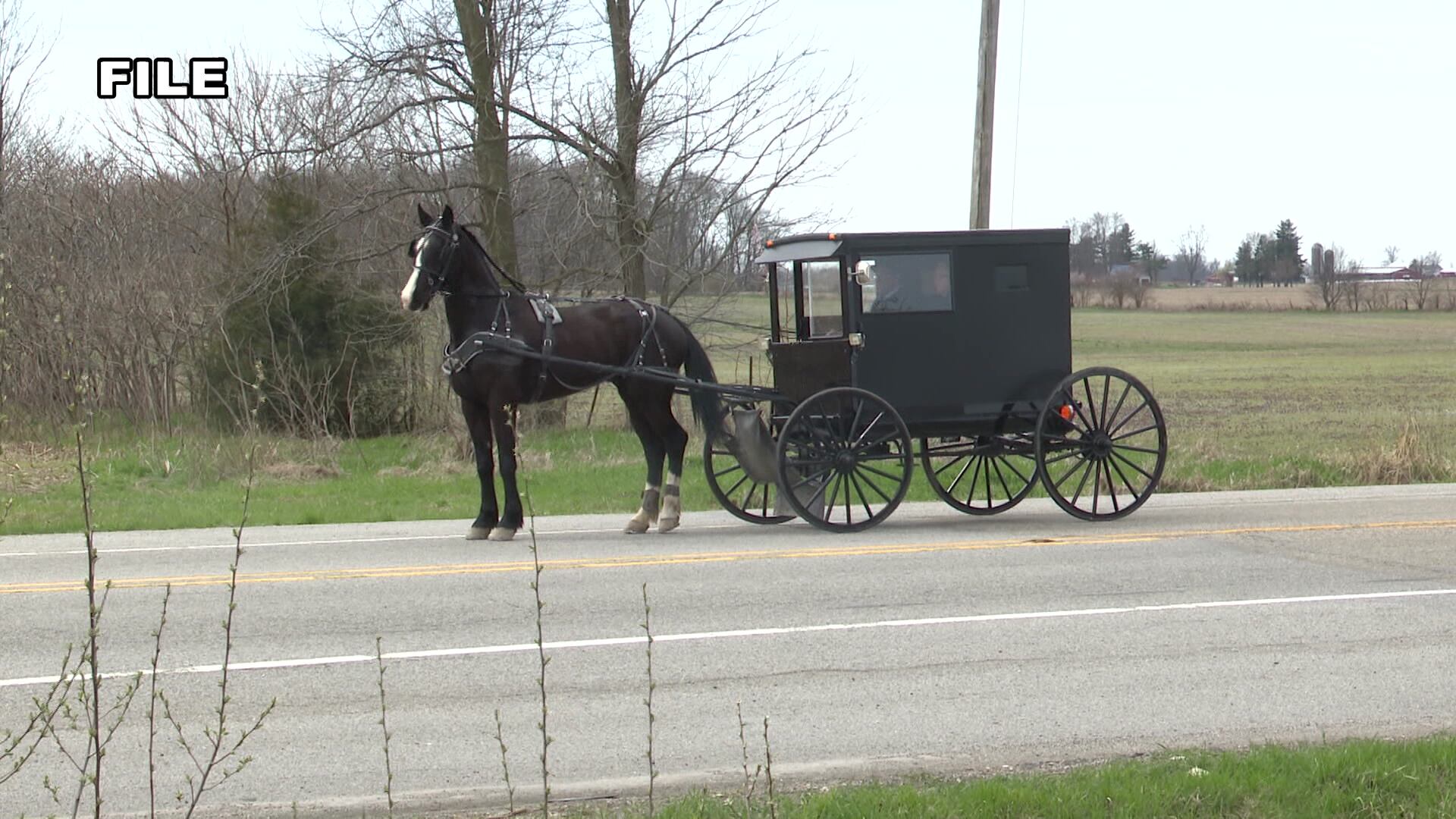Concerns raised about horsedrawn buggies after 3 kids killed in