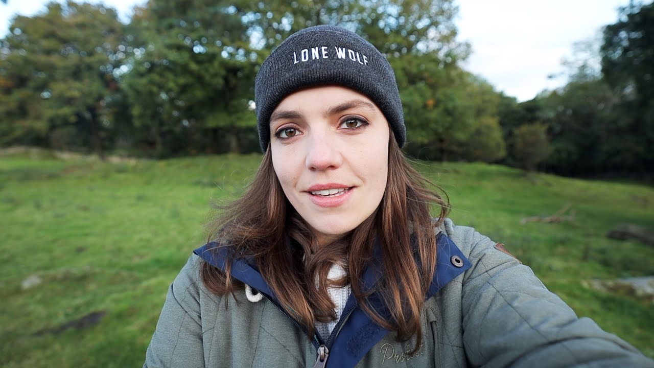 is stop and shop open july 4th 2025