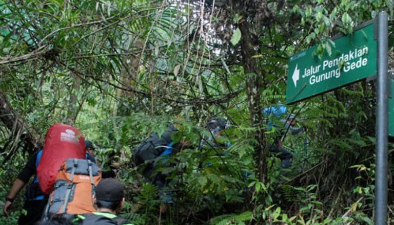 Pendaki Gunung Gede 