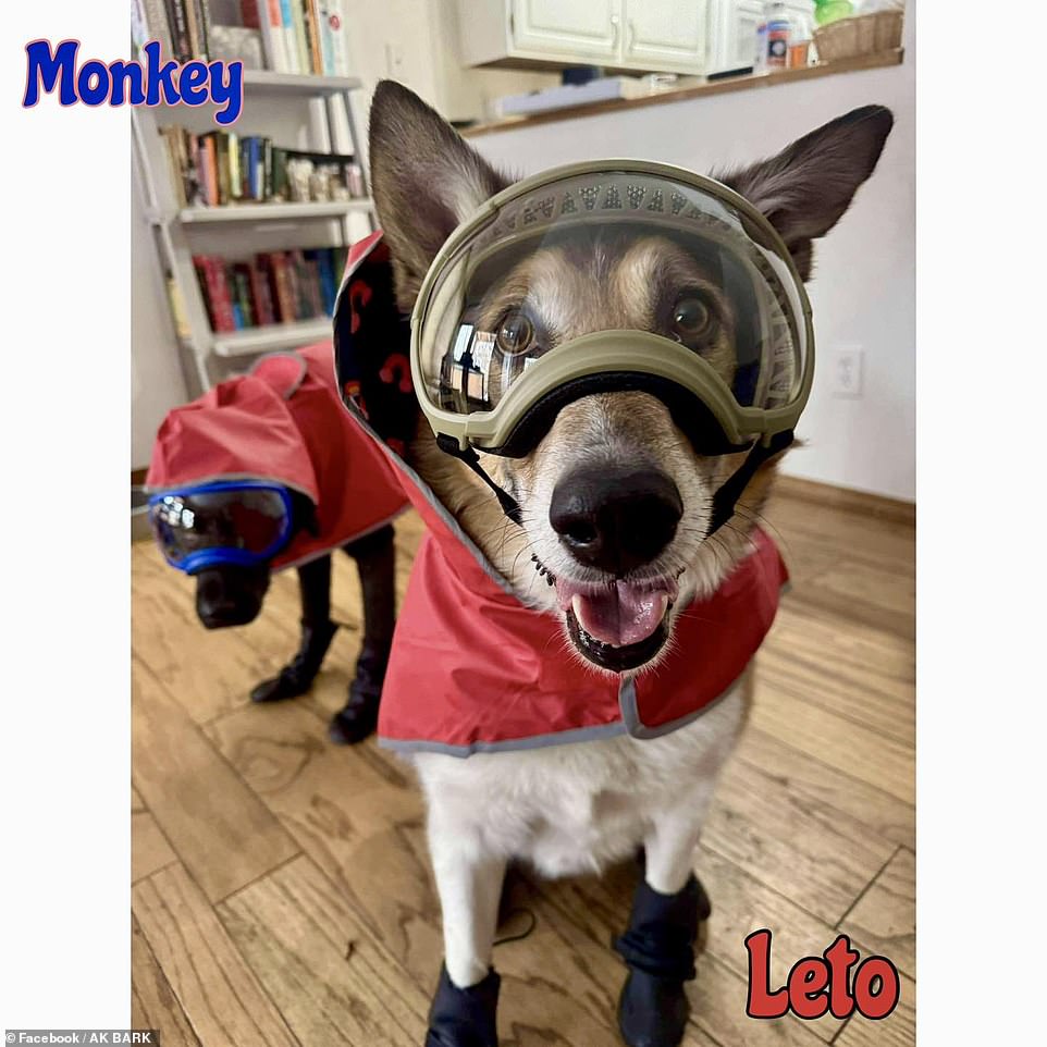 Chaos in US as residents prepare for massive volcano eruption