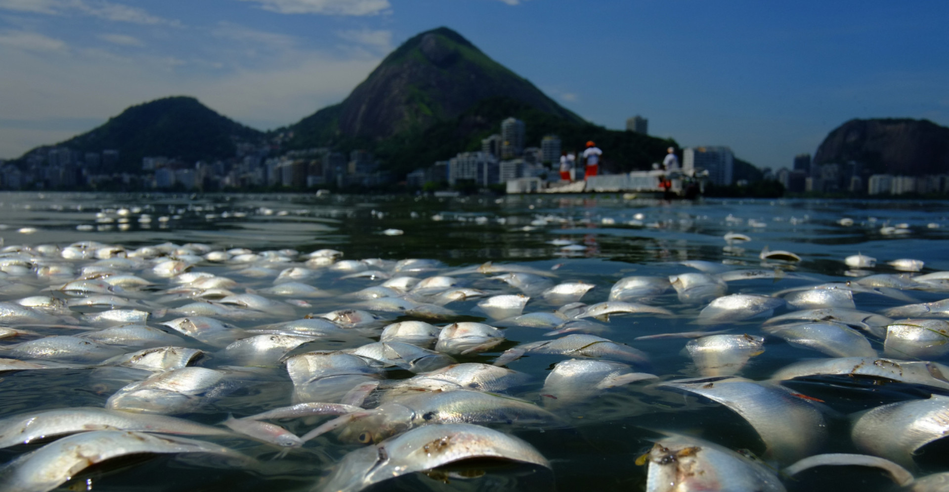 Electric resistance welding intelligence overview