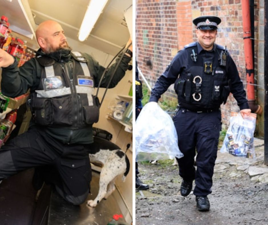Police seize 150 cannabis plants and £40,000 worth of illegal vapes in ...