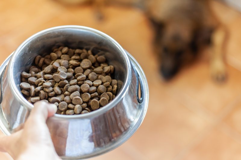 pet-food-recalled-after-testing-positive-for-salmonella-and-listeria-fda