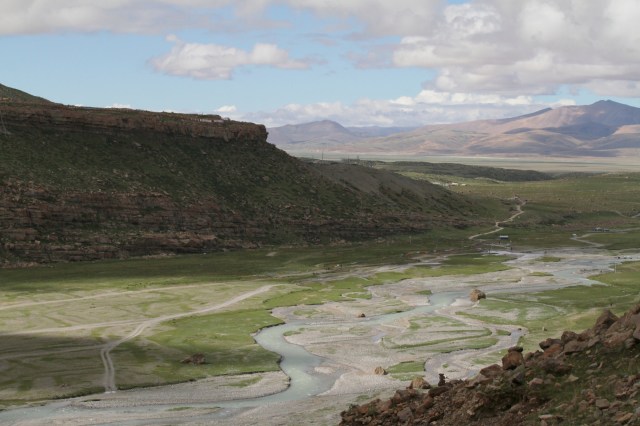 Scientists Stunned After Accidentally Finding Ultra Rare Creature It