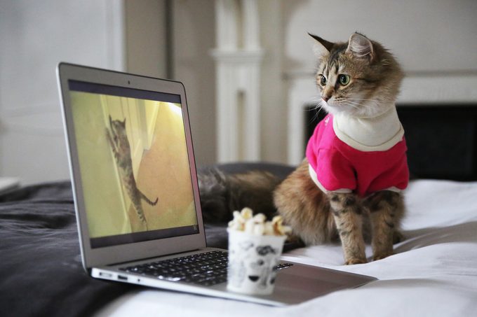50 Weird Facts That Are Totally True Gettyimages 1243331561