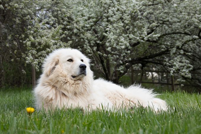 50 Weird Facts That Are Totally True Gettyimages 1317453302