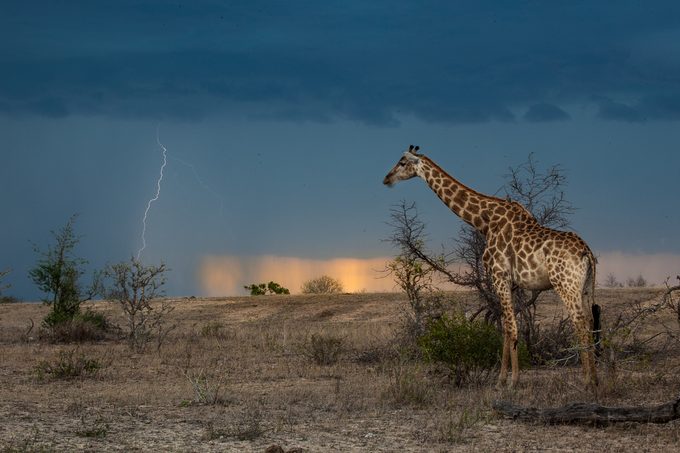 50 Weird Facts That Are Totally True Gettyimages 1331290146
