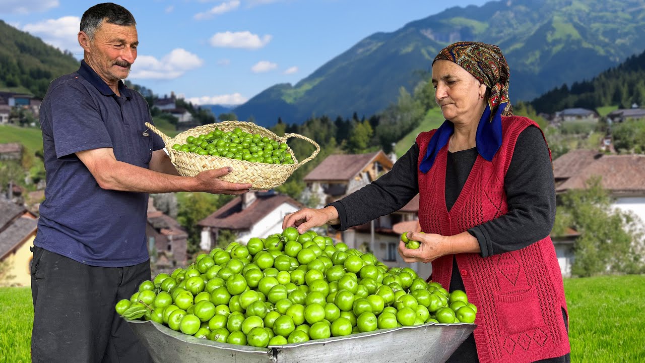 Making traditional pickles from juicy alchi fruit